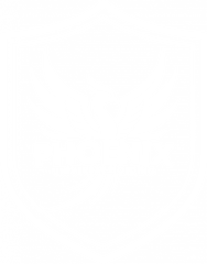 Trường Trung cấp Quốc tế Phoenix