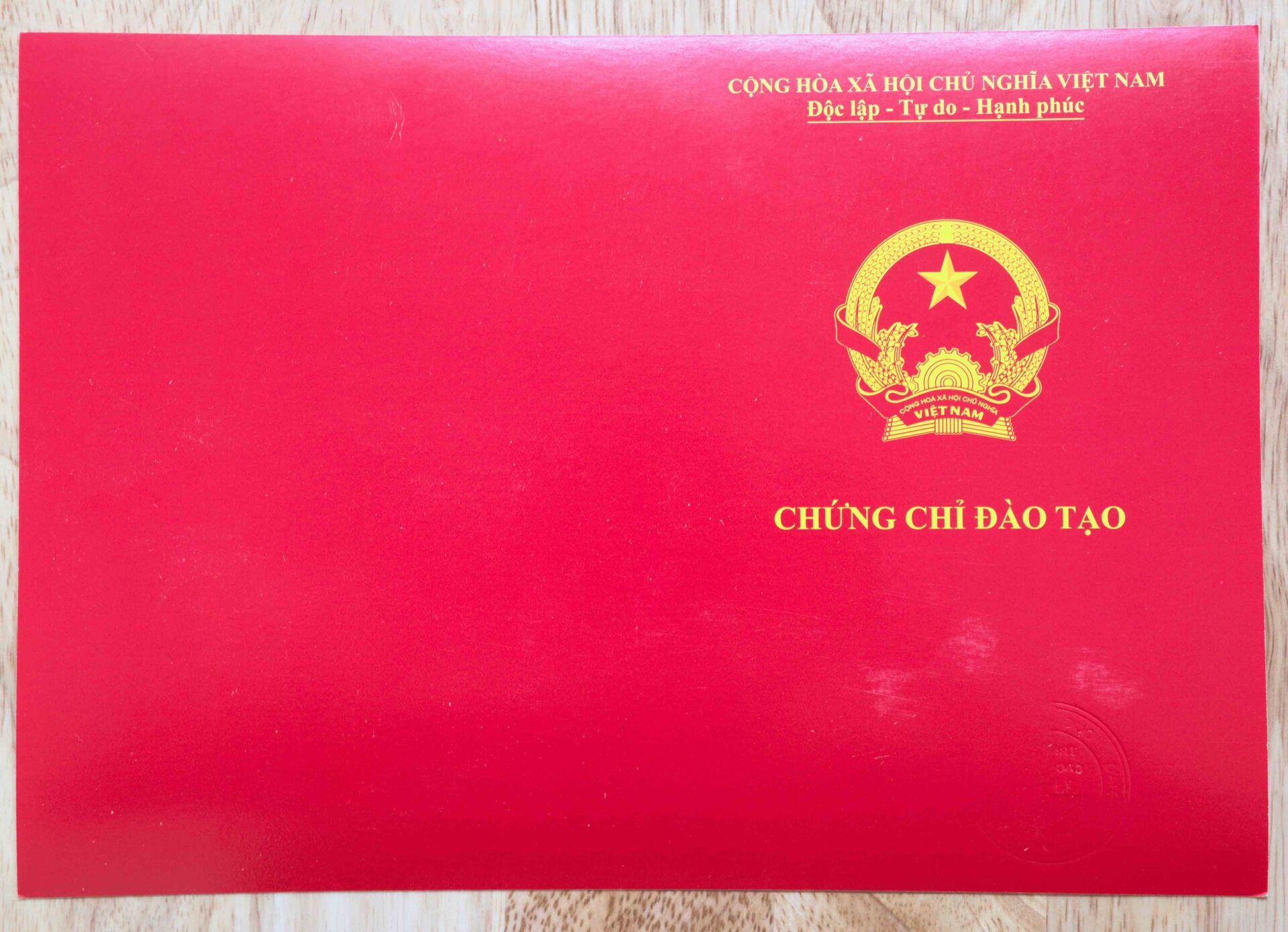 Giá trị của chứng chỉ sơ cấp chăm sóc da chính quy trong kinh doanh